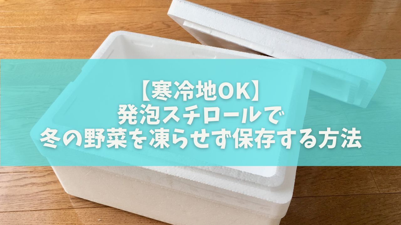 【寒冷地OK】発泡スチロールで冬の野菜を凍らせず保存する方法